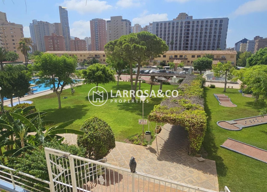 Reventa - Apartamento - Benidorm