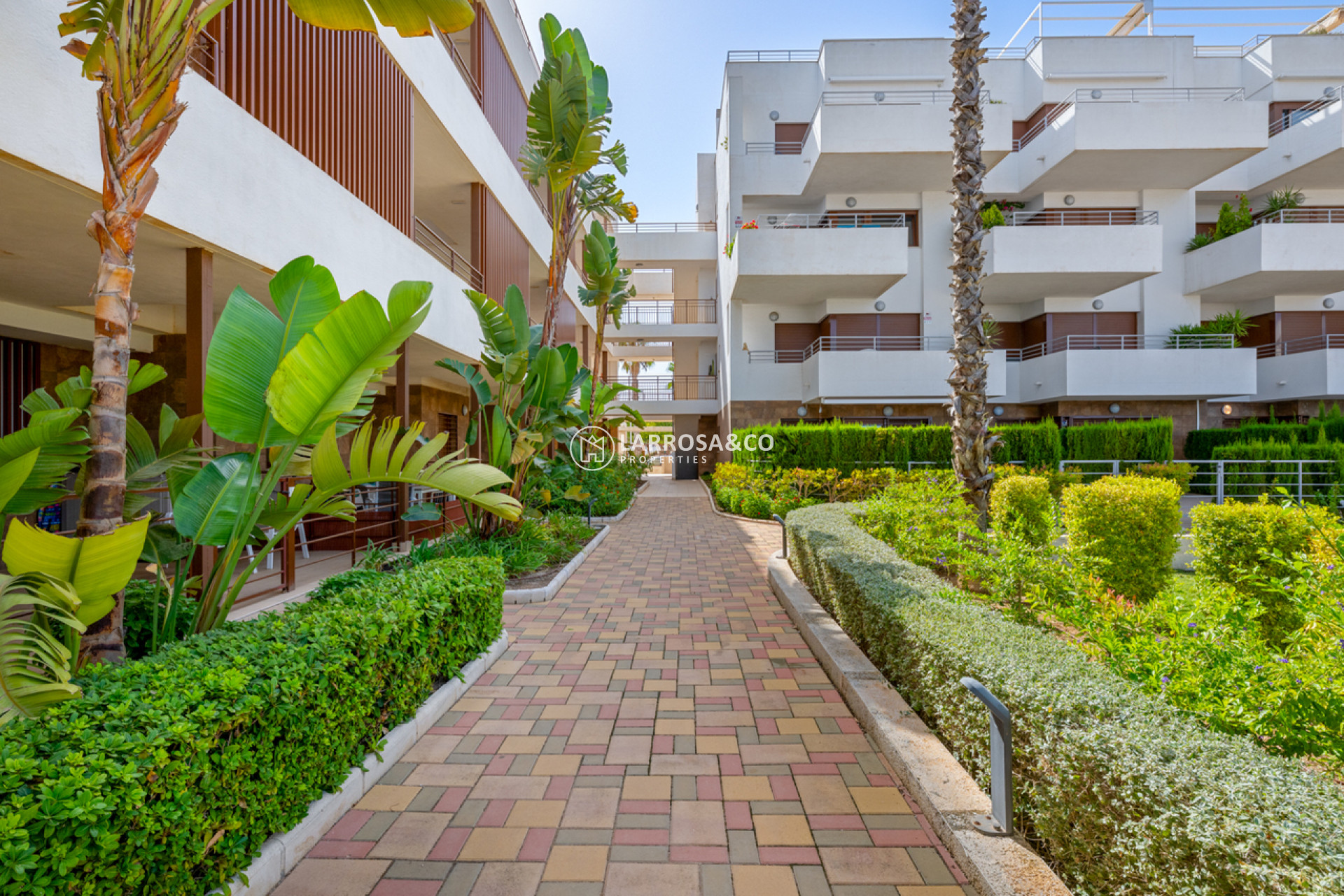 Reventa - Apartamento - Cabo Roig - Costa blanca