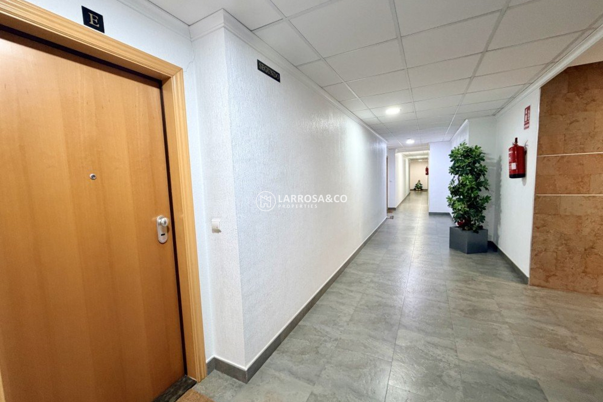 Reventa - Apartamento - Dolores - Costa Blanca