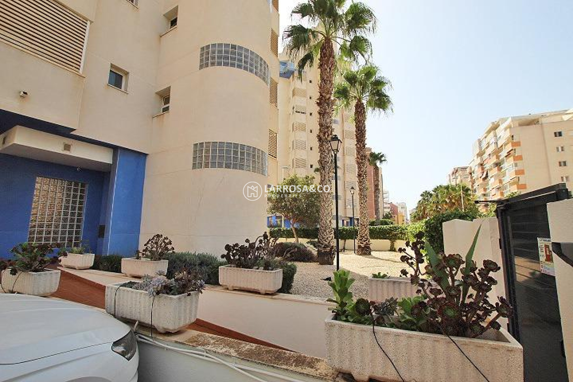 Reventa - Apartamento - Guardamar del Segura - Avenida del Puerto