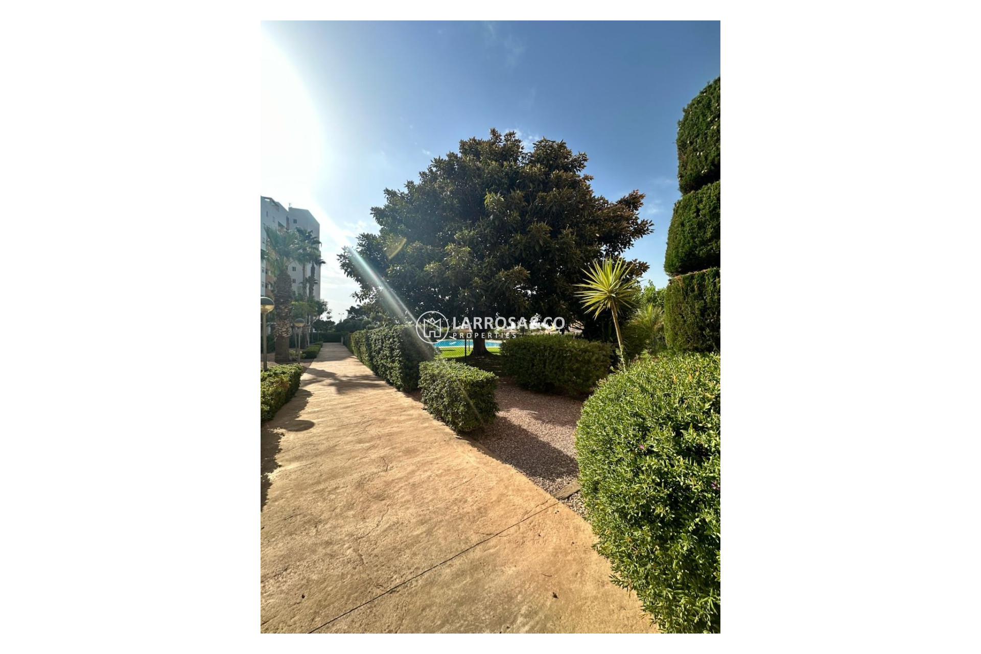Reventa - Apartamento - Guardamar del Segura - Avenida del Puerto