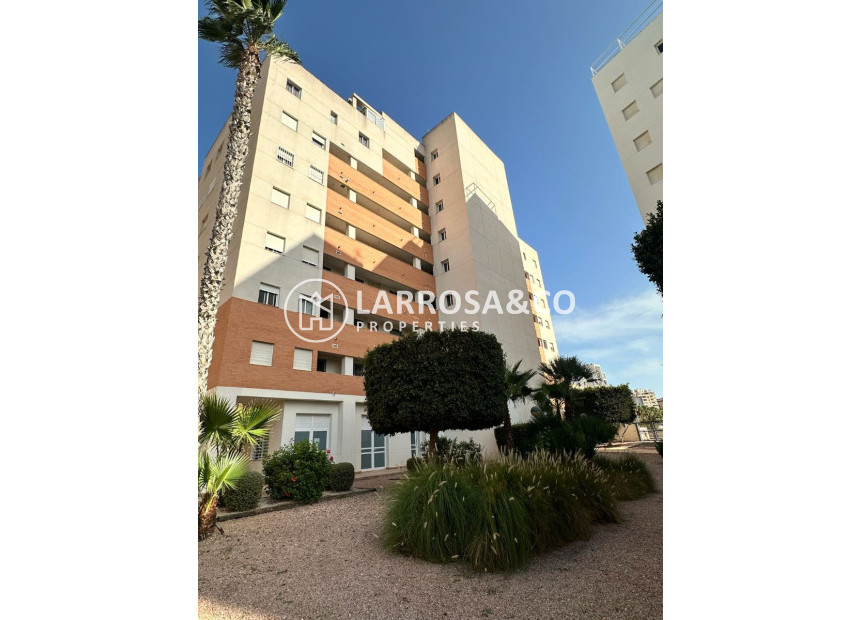 Reventa - Apartamento - Guardamar del Segura - Avenida del Puerto