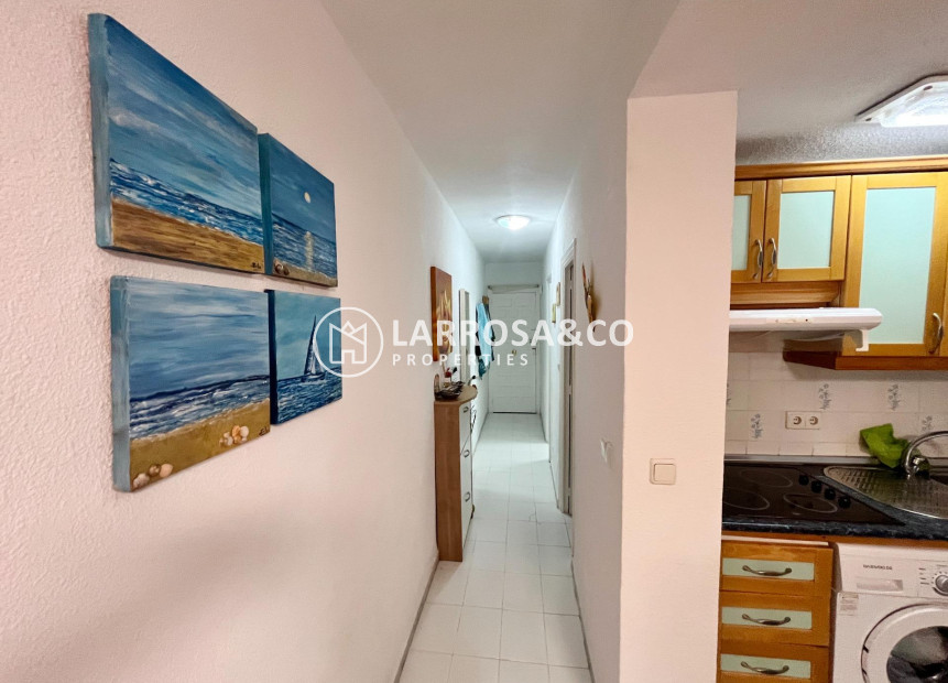 Reventa - Apartamento - Guardamar del Segura - Centro