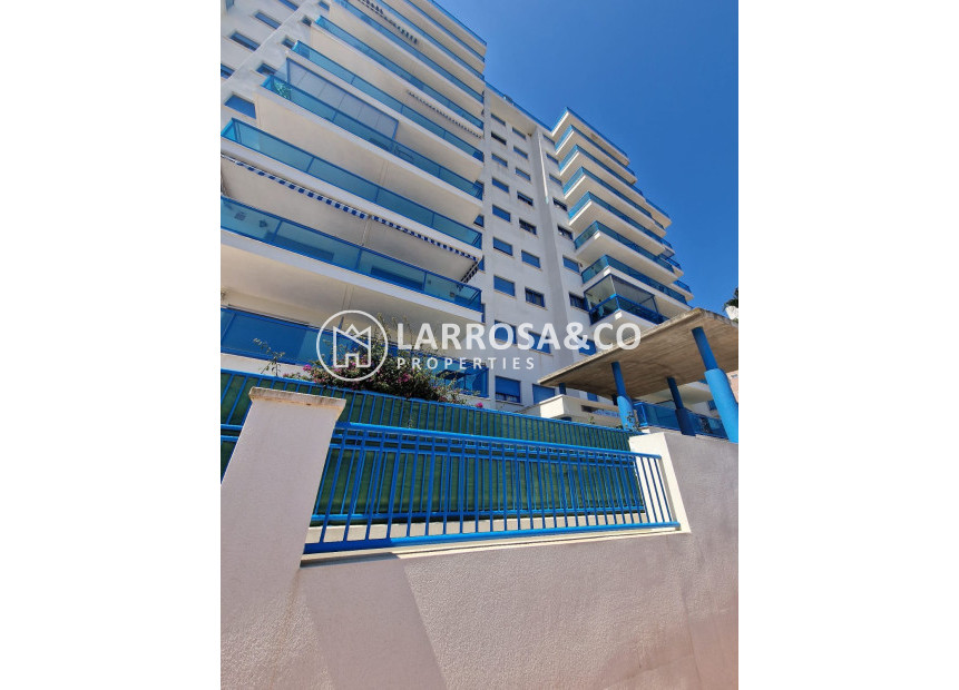 Reventa - Apartamento - Guardamar del Segura - Costa Blanca