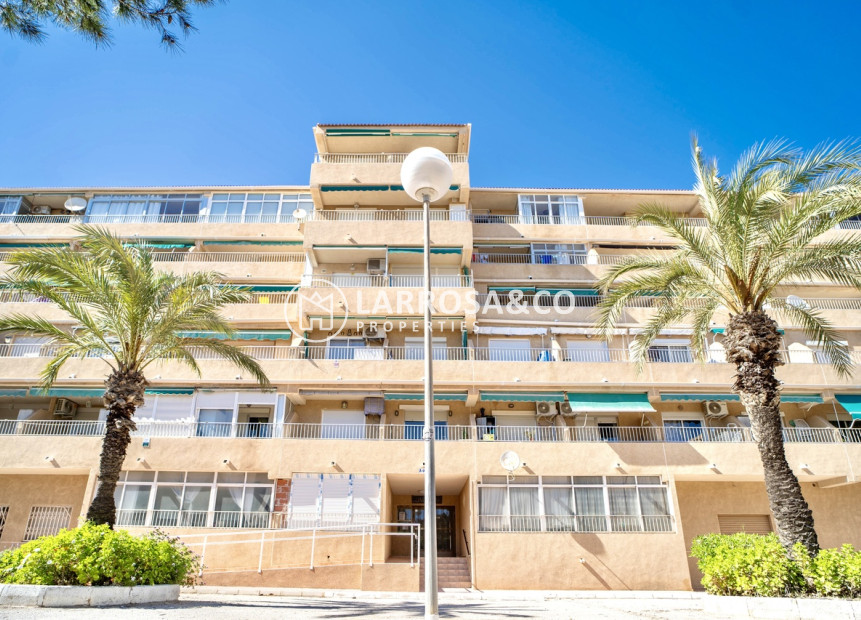 Reventa - Apartamento - Guardamar del Segura - Costa Blanca