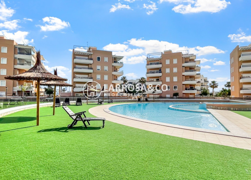 Reventa - Apartamento - Guardamar del Segura - Costa Blanca