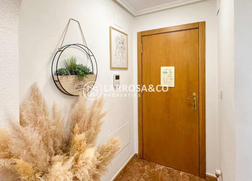 Reventa - Apartamento - Guardamar del Segura - Costa Blanca