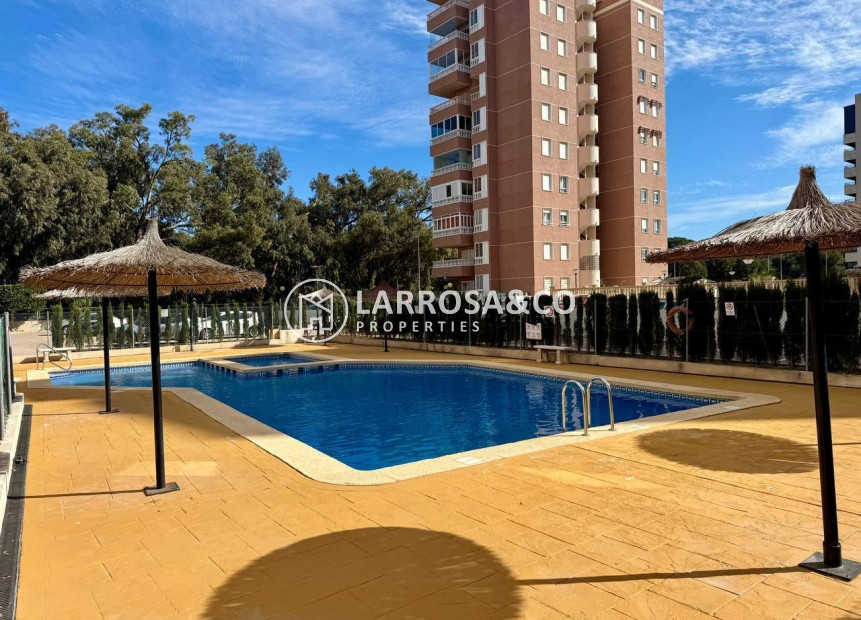 Reventa - Apartamento - Guardamar del Segura - Puerto