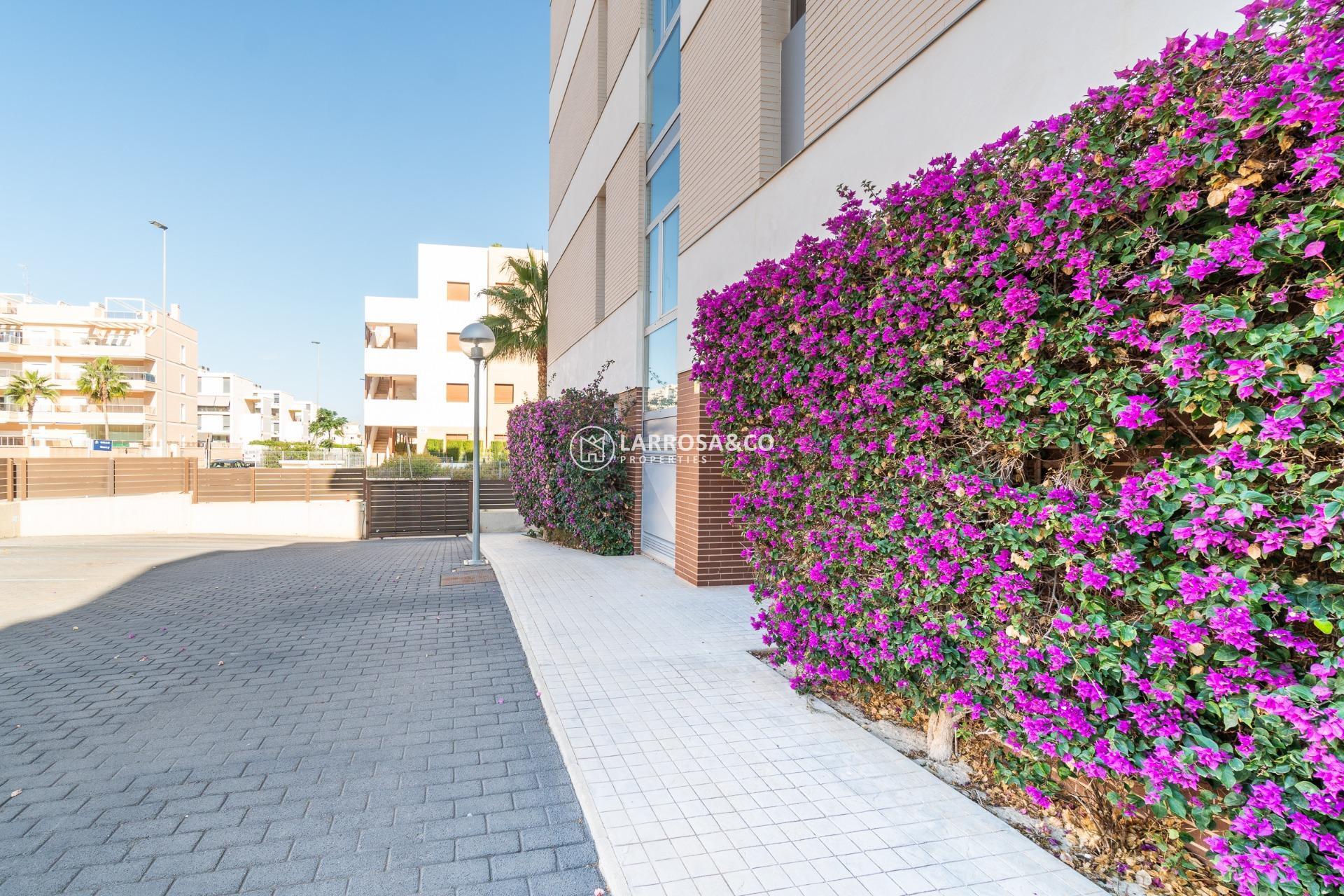 Reventa - Apartamento - Orihuela costa - Los Dolses