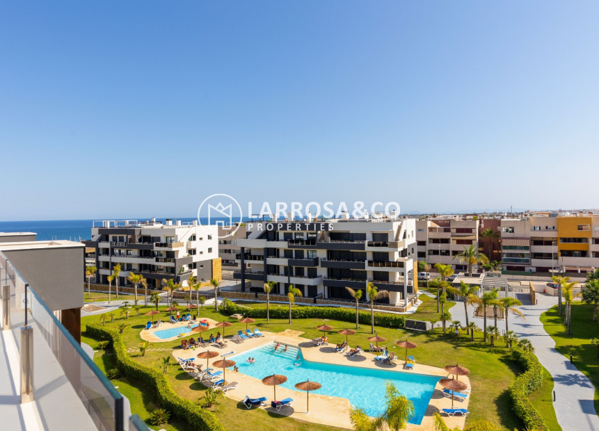 Reventa - Apartamento - Orihuela costa - Playa Flamenca