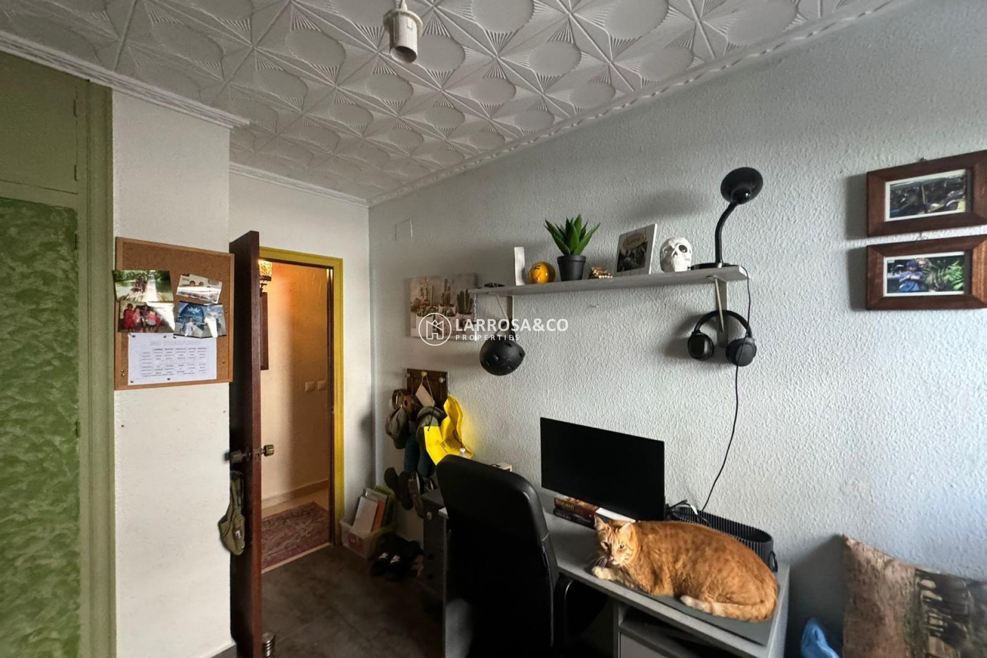 Reventa - Apartamento - San Miguel de Salinas - Balcon De San Miguel