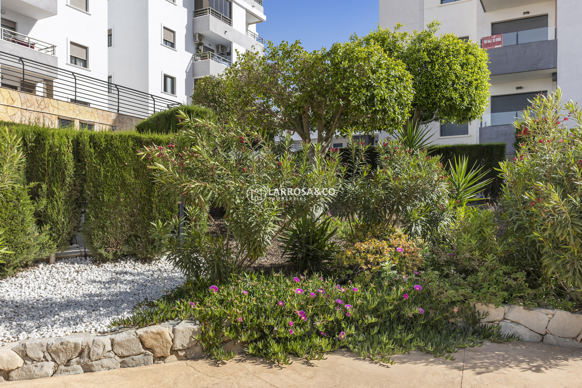 Reventa - Apartamento - San Miguel de Salinas - Inland