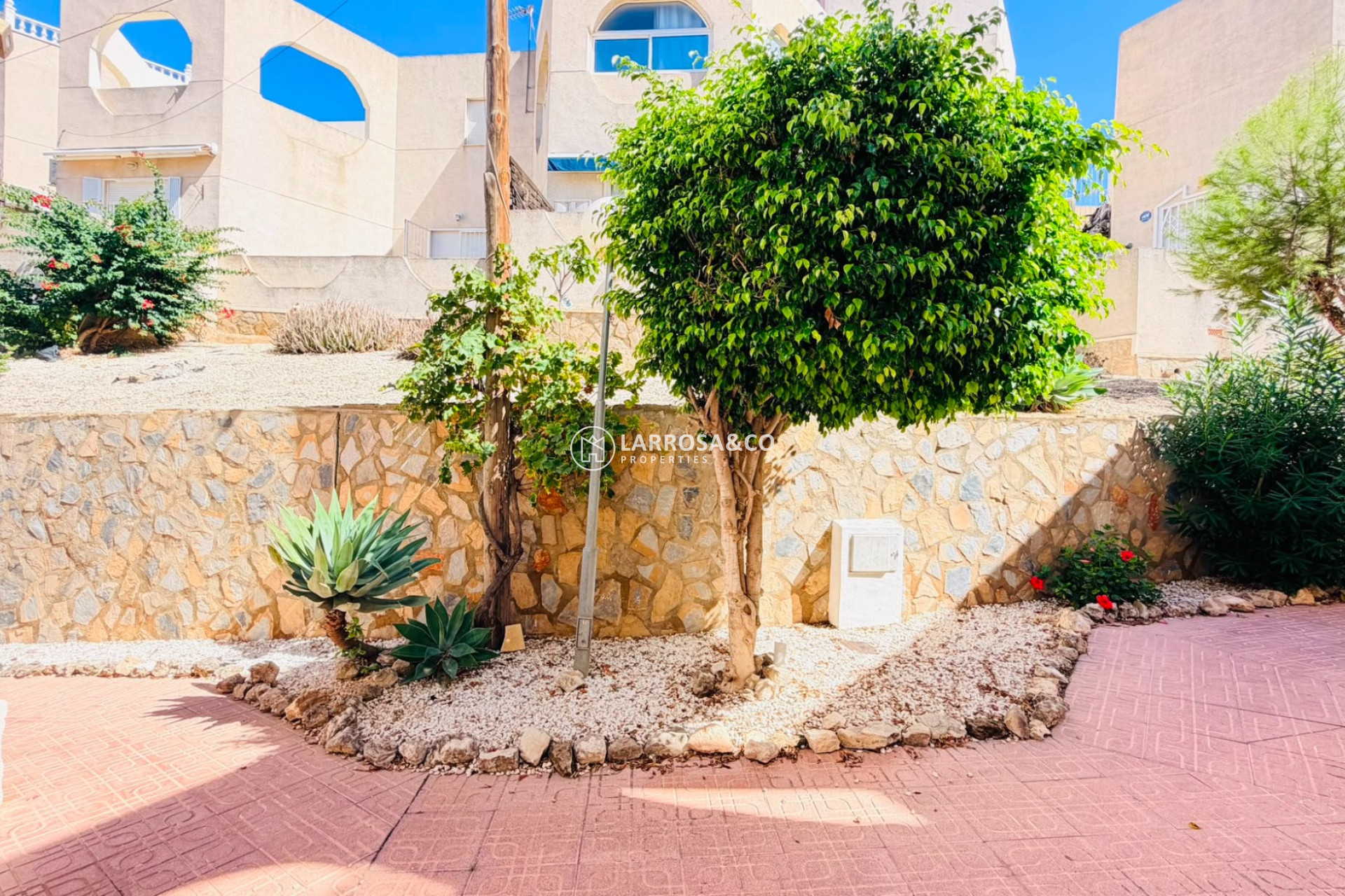 Reventa - Apartamento - San Miguel de Salinas - Inland