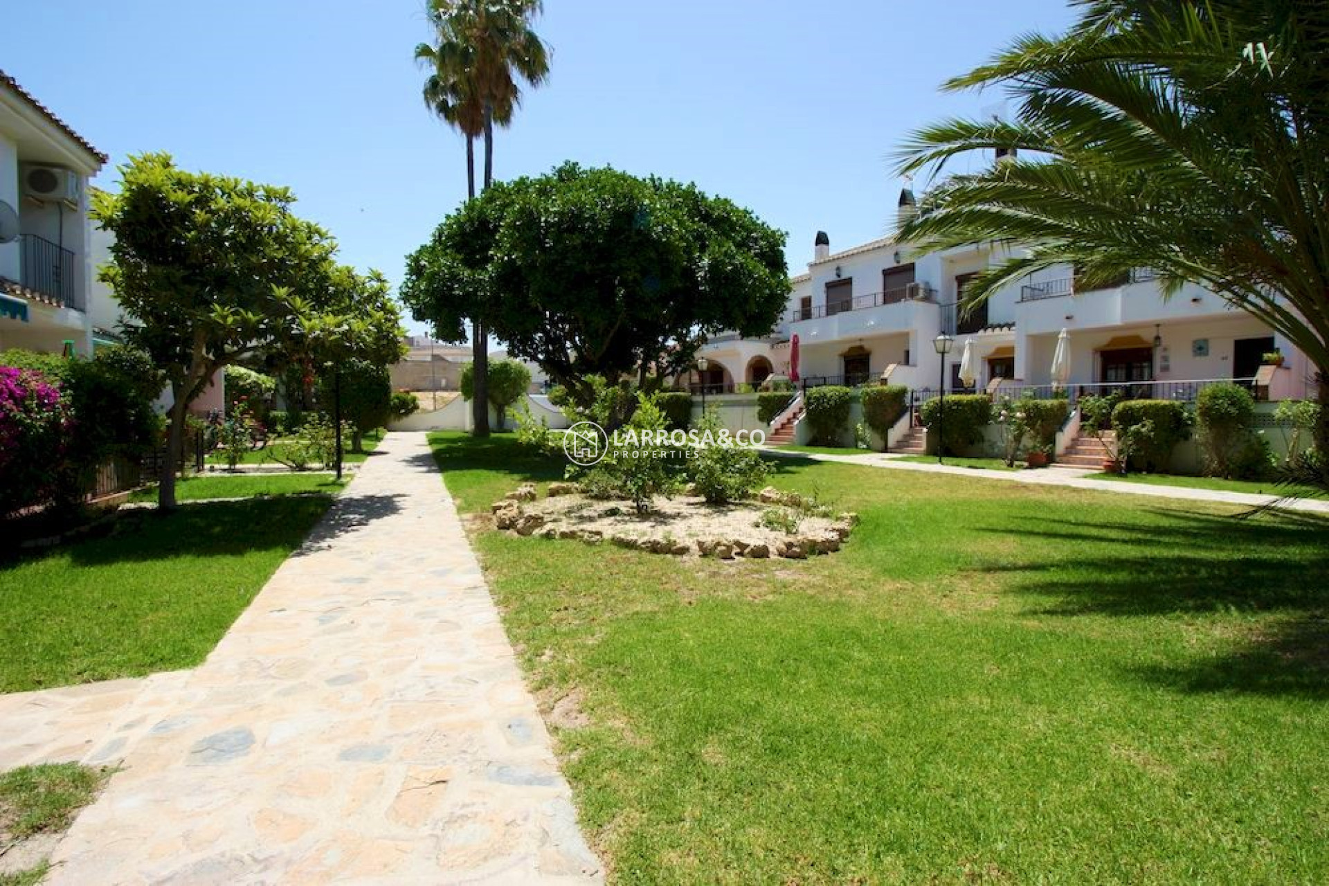 Reventa - Apartamento - San Miguel de Salinas