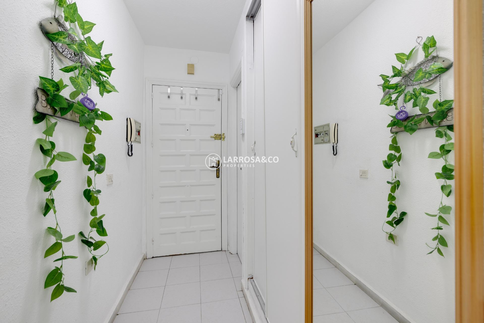 Reventa - Apartamento - Torrevieja - Acequion