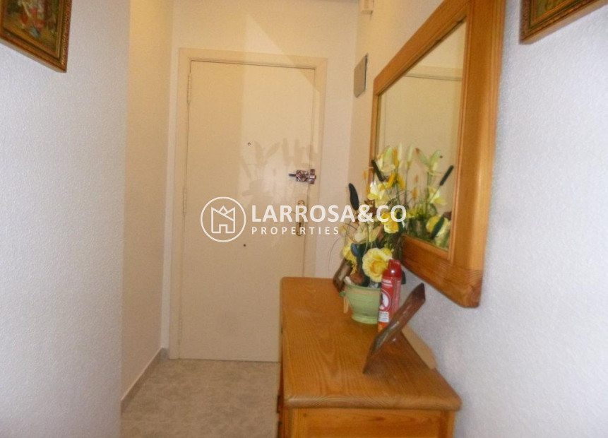 Reventa - Apartamento - Torrevieja - Acequion