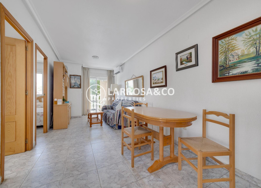 Reventa - Apartamento - Torrevieja - Acequion