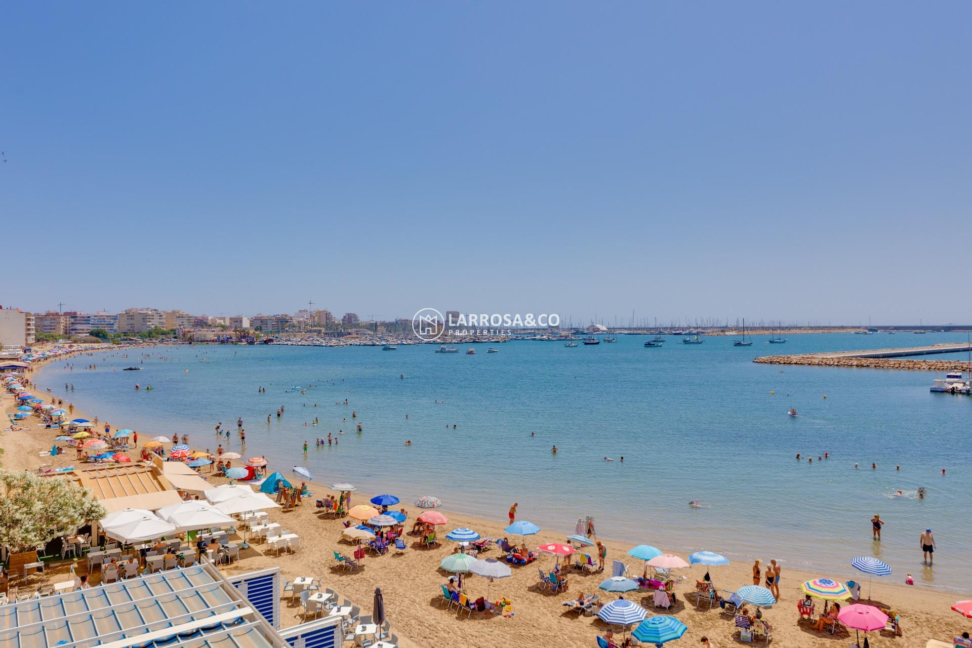 Reventa - Apartamento - Torrevieja - Acequion