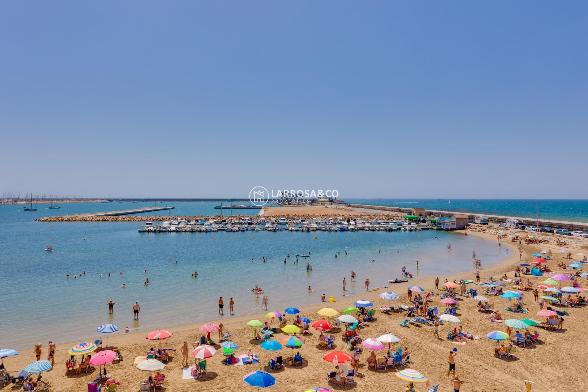 Reventa - Apartamento - Torrevieja - Acequion