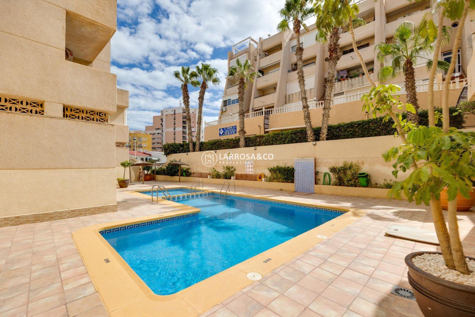 Reventa - Apartamento - Torrevieja - Cabo cervera