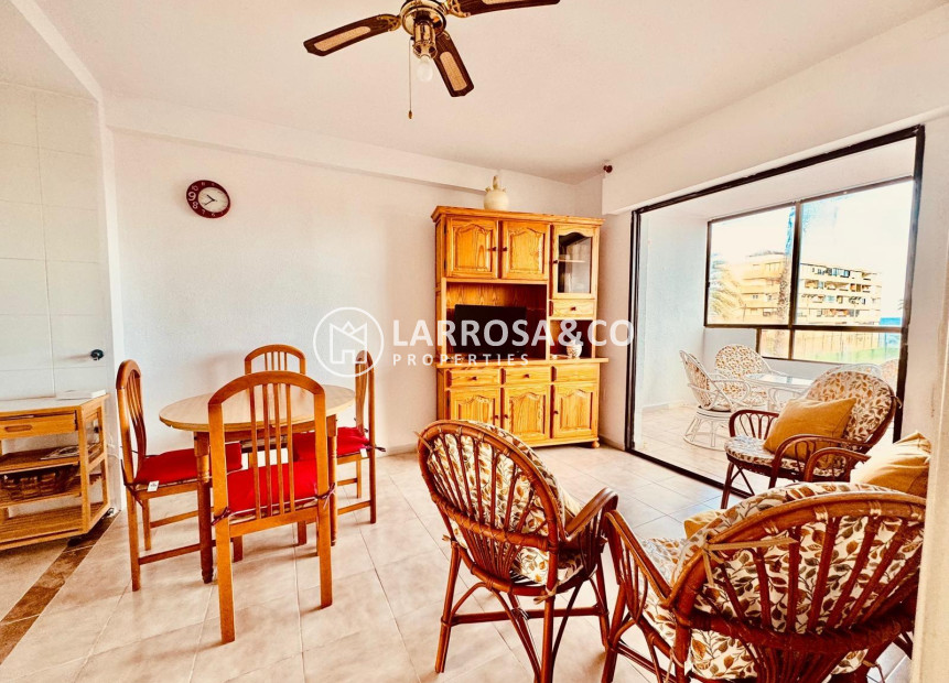 Reventa - Apartamento - Torrevieja - Cabo cervera