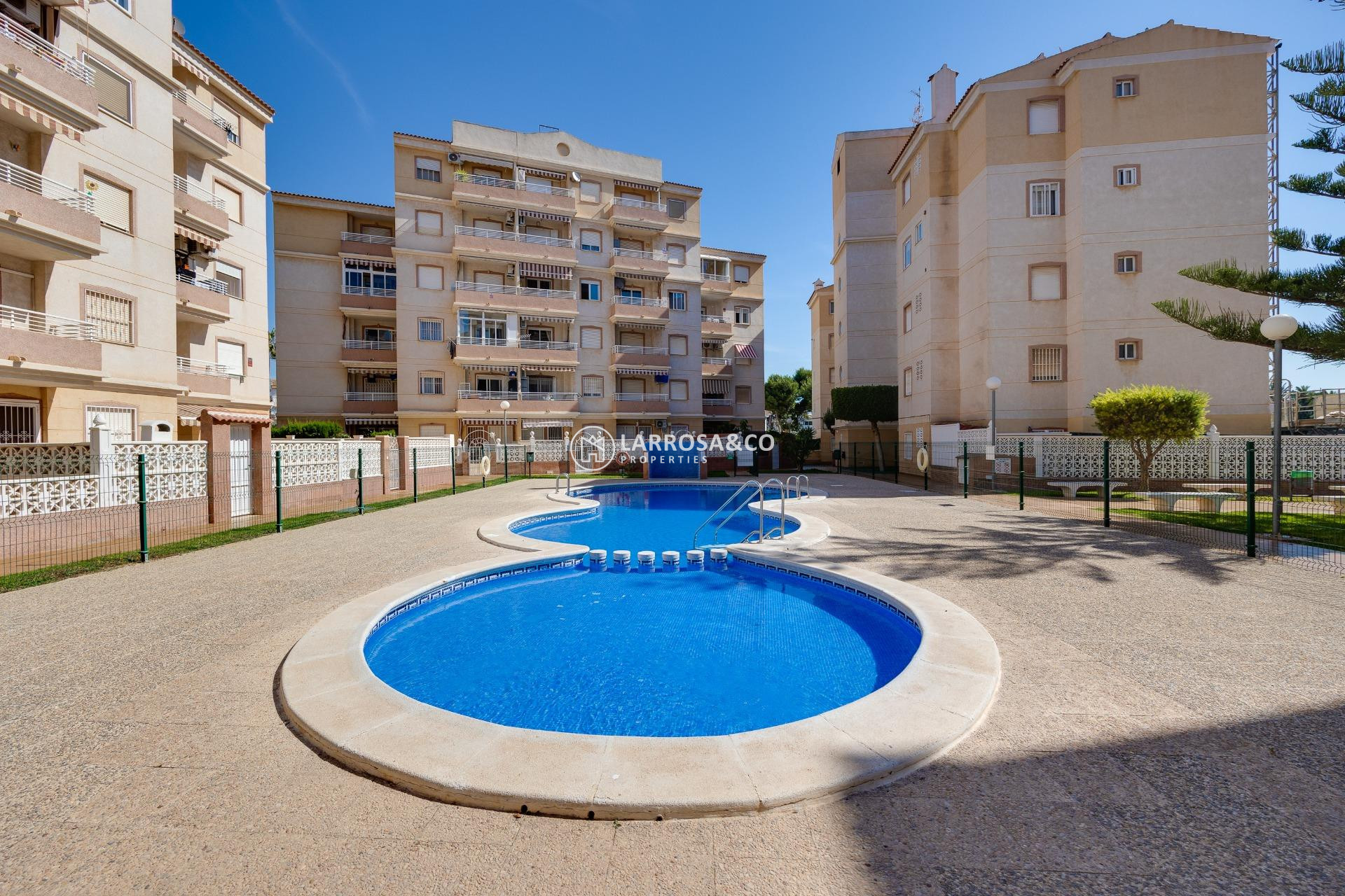 Reventa - Apartamento - Torrevieja - Calas blanca