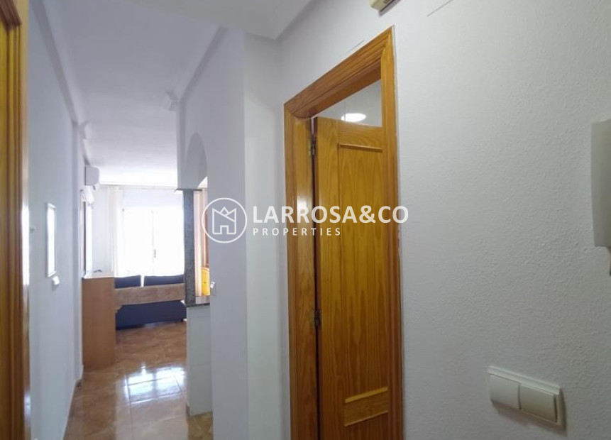Reventa - Apartamento - Torrevieja - CASCO URBANO