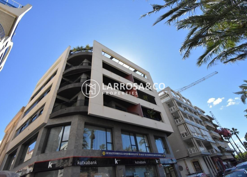 Reventa - Apartamento - Torrevieja - Centro - Muelle Pesquero