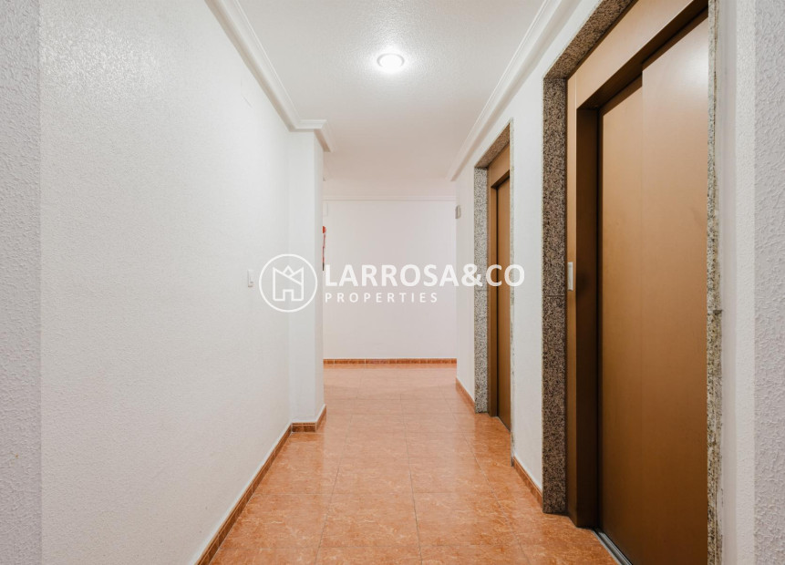 Reventa - Apartamento - Torrevieja - Centro
