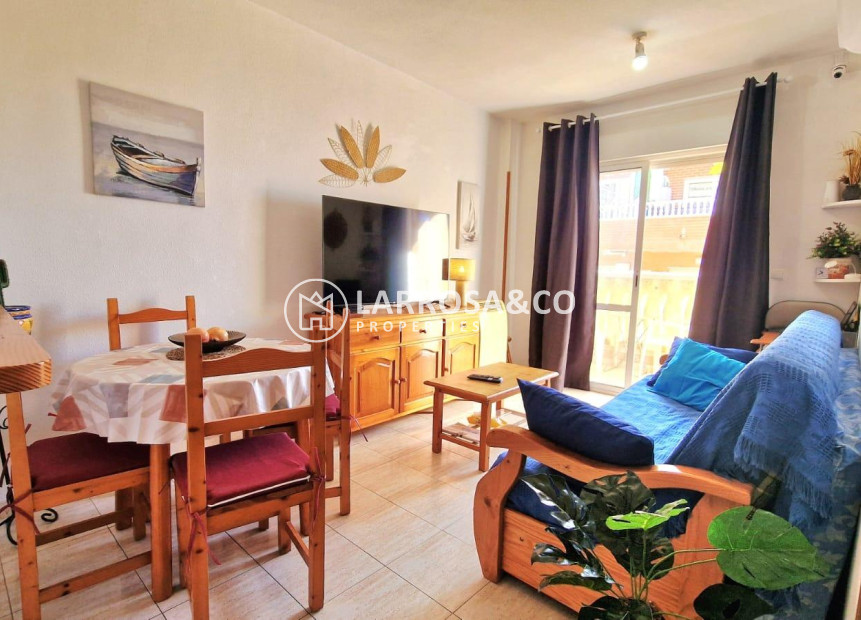 Reventa - Apartamento - Torrevieja - Centro