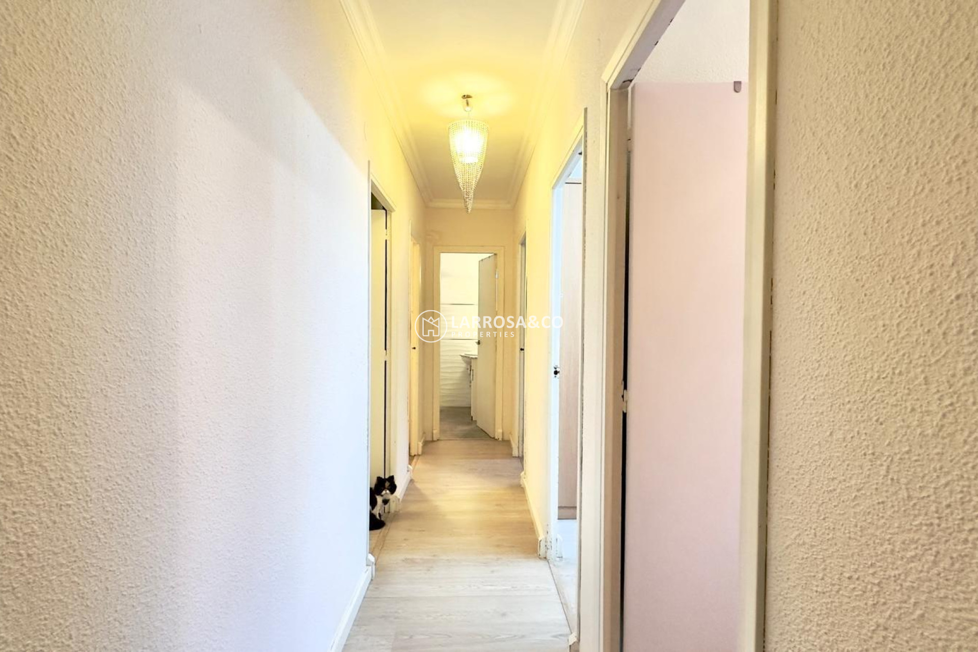 Reventa - Apartamento - Torrevieja - Centro