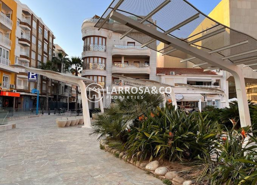 Reventa - Apartamento - Torrevieja - Centro