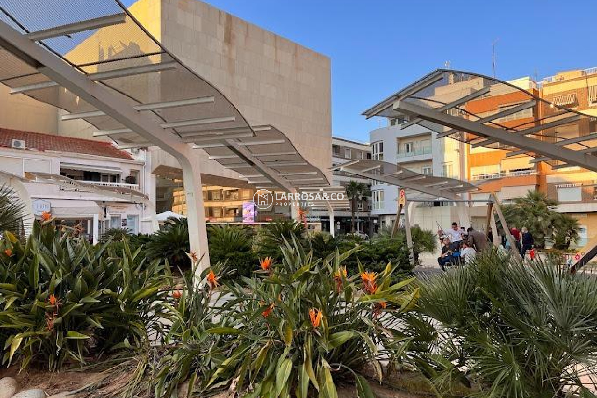 Reventa - Apartamento - Torrevieja - Centro