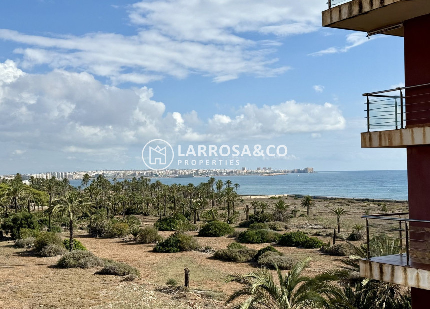 Reventa - Apartamento - Torrevieja - Costa Blanca