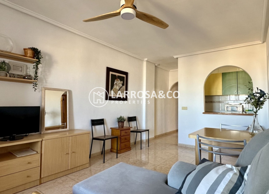 Reventa - Apartamento - Torrevieja - Costa Blanca