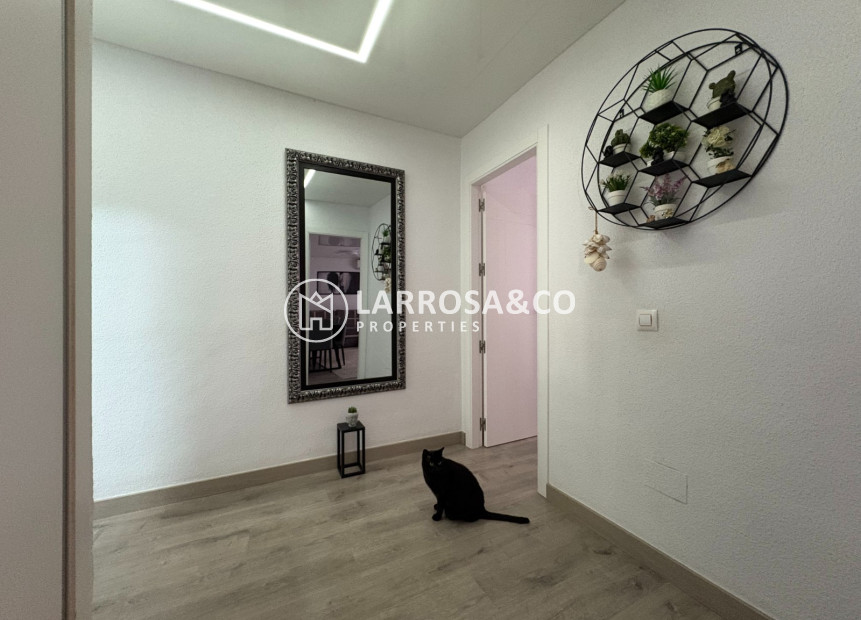 Reventa - Apartamento - Torrevieja - Costa Blanca