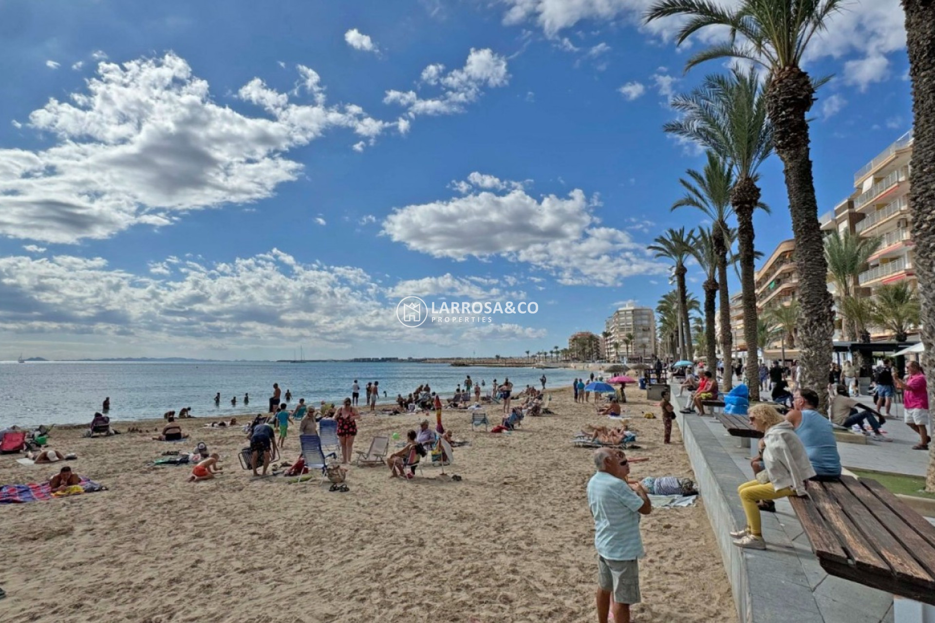 Reventa - Apartamento - Torrevieja - Costa Blanca