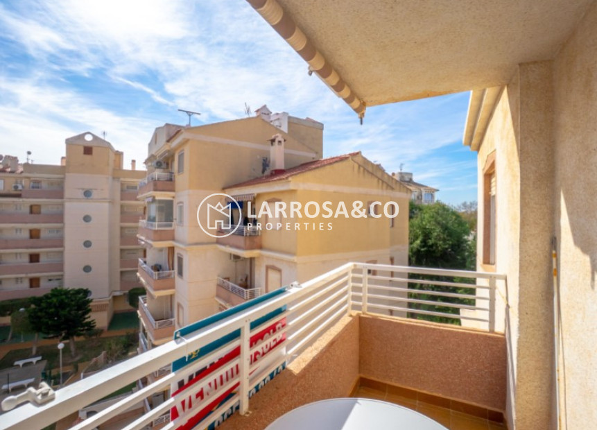 Reventa - Apartamento - Torrevieja - Costa Blanca