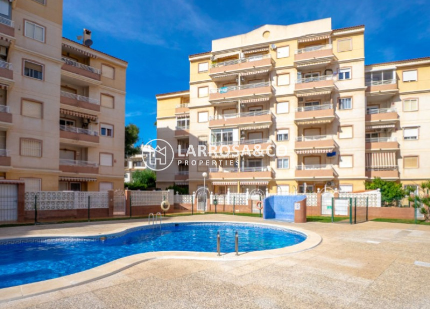 Reventa - Apartamento - Torrevieja - Costa Blanca