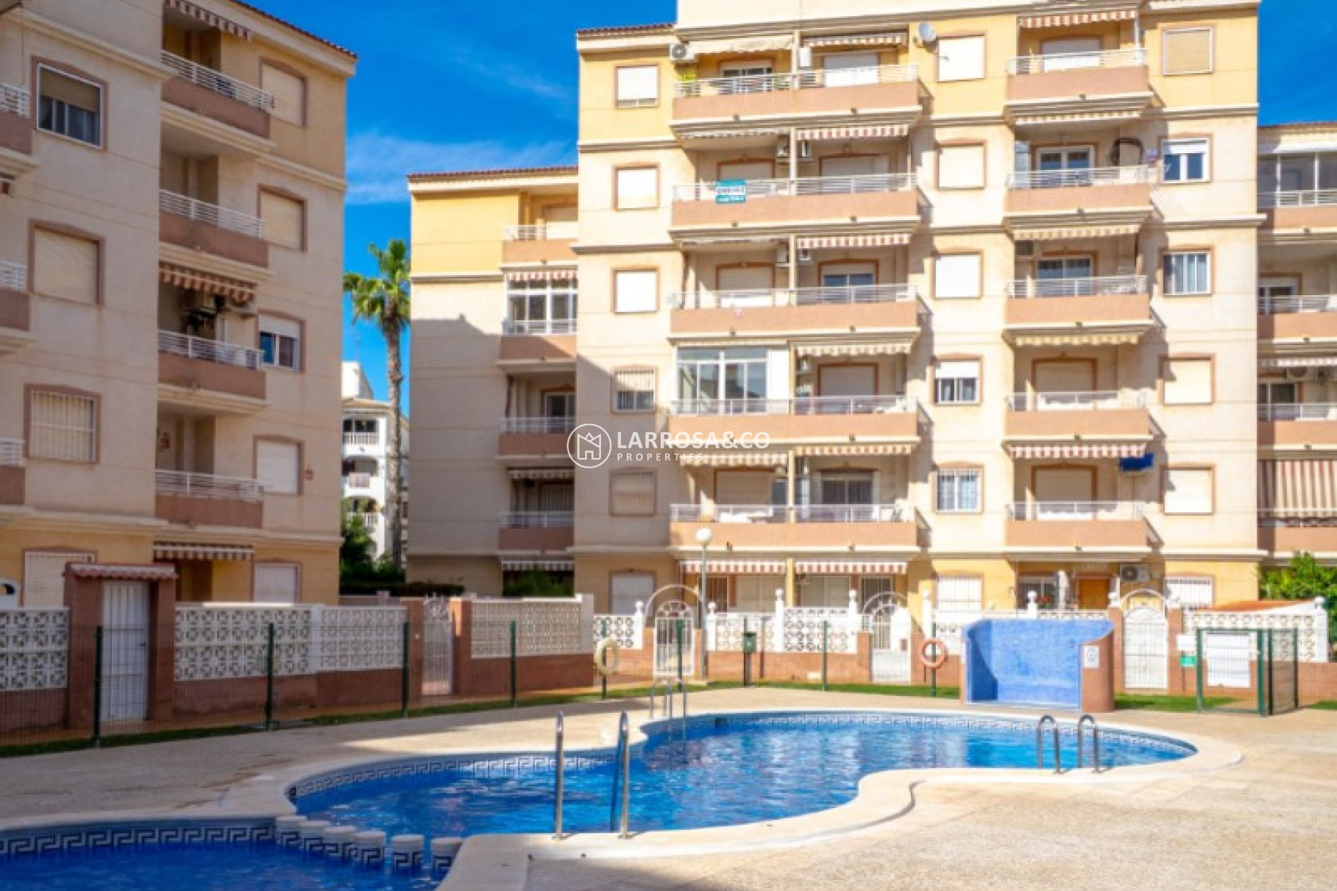 Reventa - Apartamento - Torrevieja - Costa Blanca