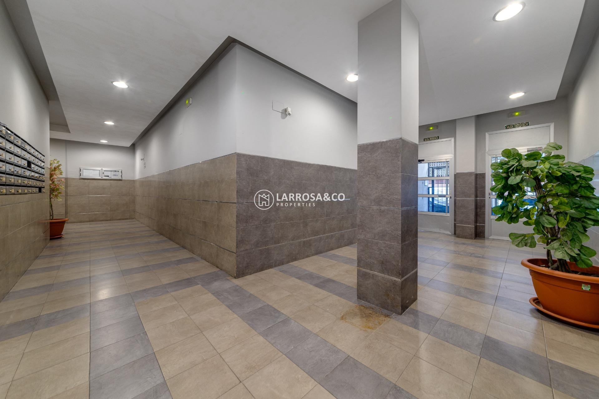 Reventa - Apartamento - Torrevieja - El molino