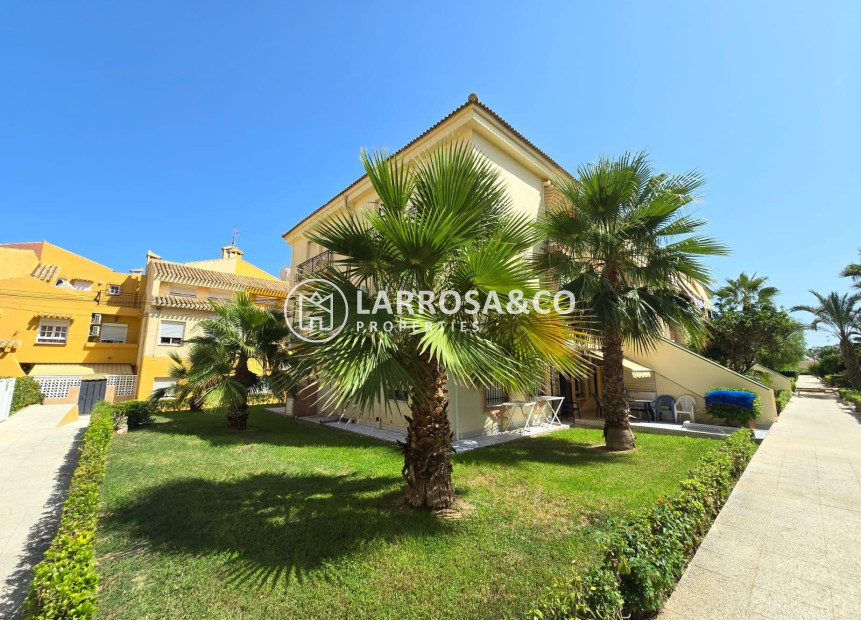 Reventa - Apartamento - Torrevieja - Eliseos playa