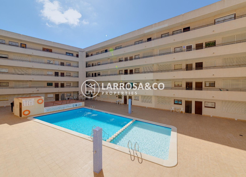 Reventa - Apartamento - Torrevieja - Estacion de autobuses