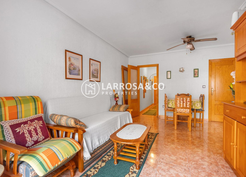 Reventa - Apartamento - Torrevieja - Estacion de autobuses