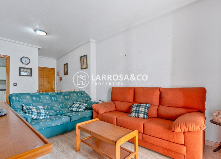 Reventa - Apartamento - Torrevieja - Estacion de autobuses