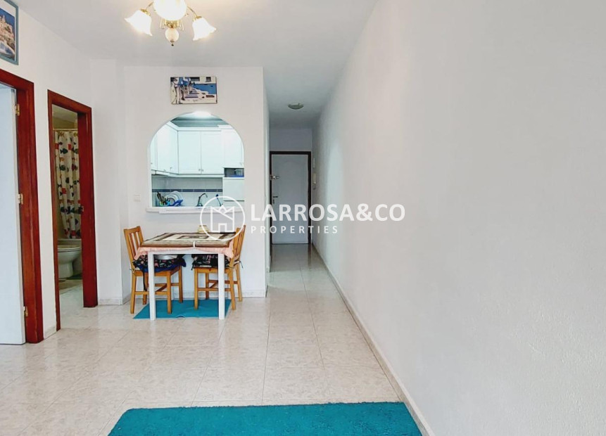 Reventa - Apartamento - Torrevieja - Estacion de autobuses