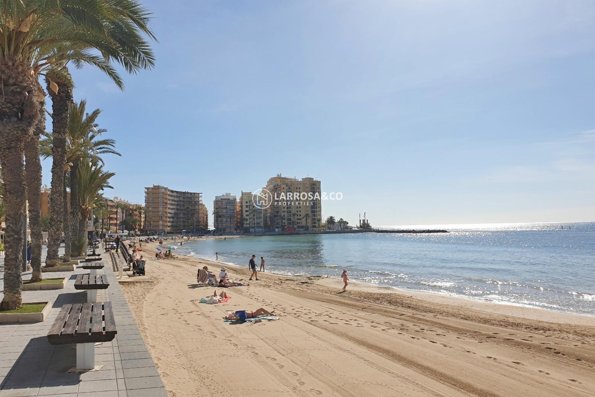 Reventa - Apartamento - Torrevieja - Estacion de autobuses