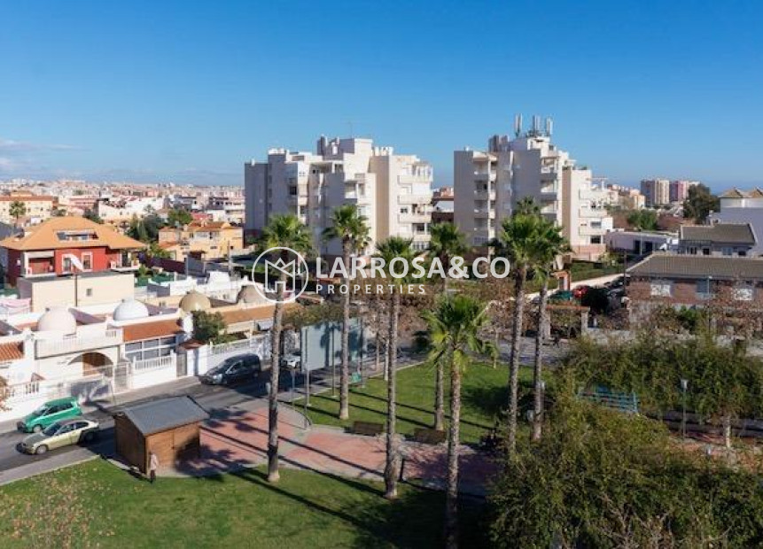 Reventa - Apartamento - Torrevieja - Estacion de autobuses