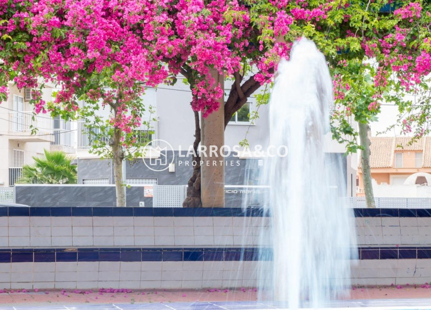 Reventa - Apartamento - Torrevieja - Estacion de autobuses