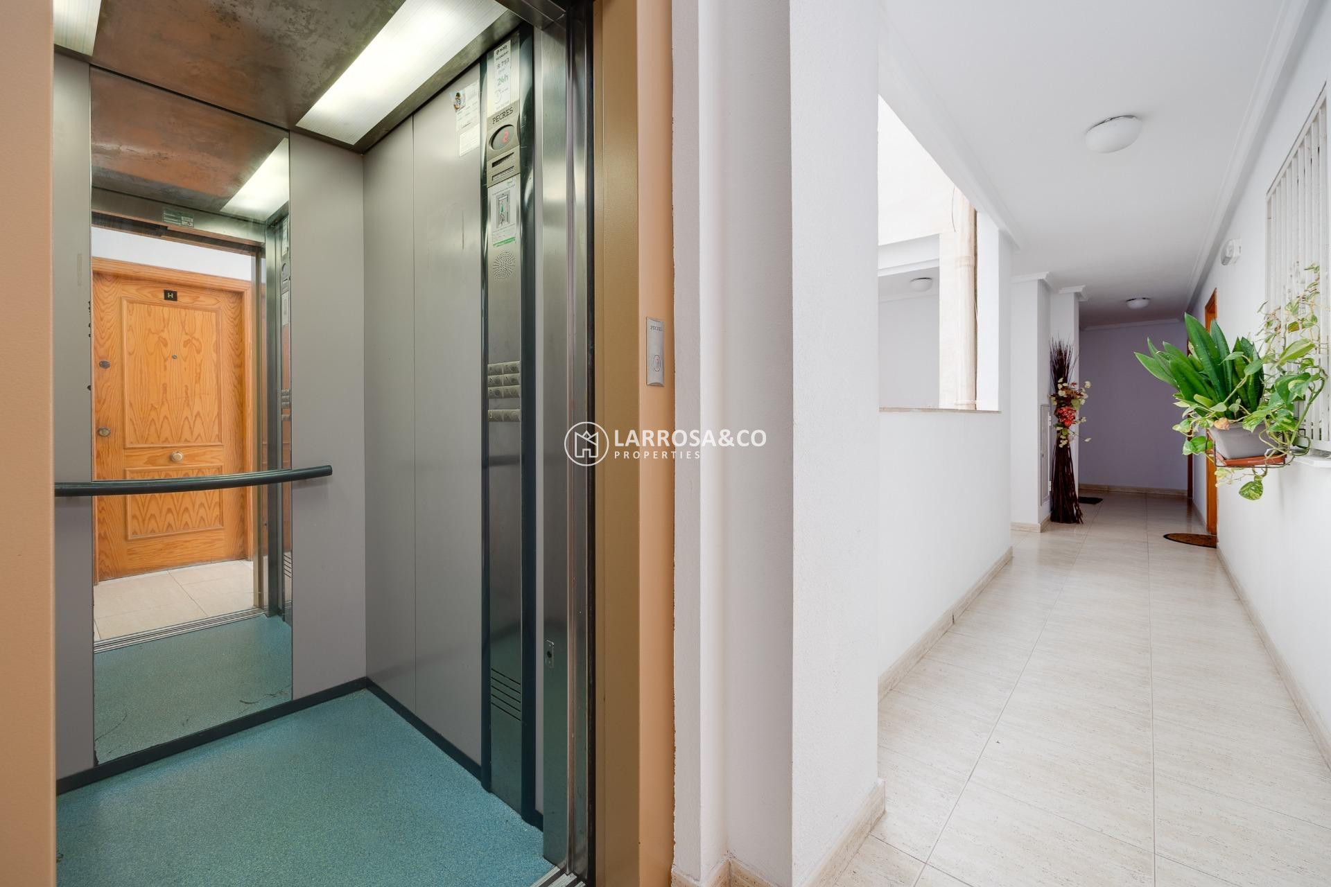 Reventa - Apartamento - Torrevieja - Habaneras